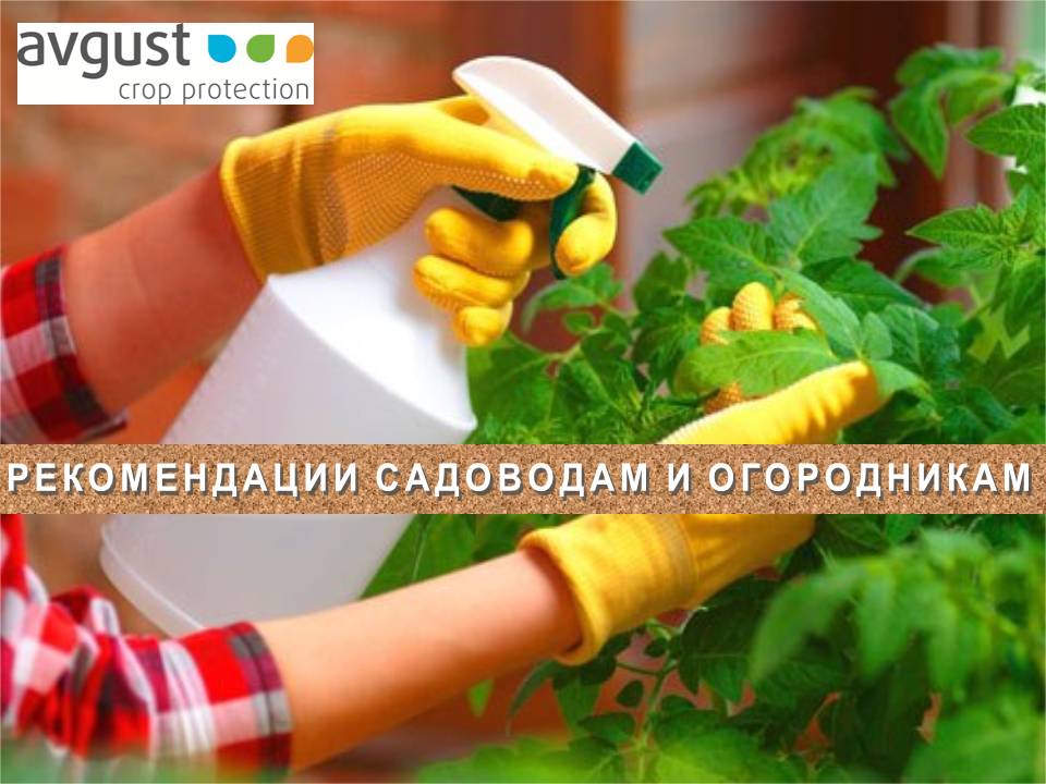 Рекомендации садоводам и огородникам